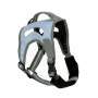 Botnita Mica pentru Caini Bleu Mountain Paws