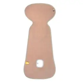 DM