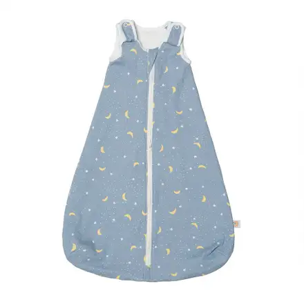 Sac de Dormit Ergobaby Clasic Stellar 0-6 luni, 1 Tog 