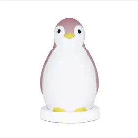 Antrenor de Somn Zazu Kids Pam Roz