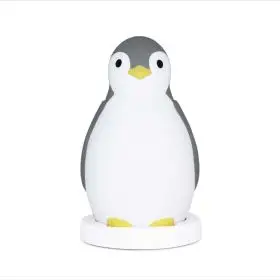 Antrenor de Somn Zazu Kids Pam Gri