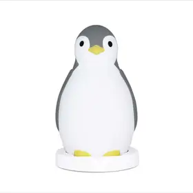 Antrenor de Somn Zazu Kids Pam Gri