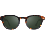 Ochelari de Soare, ReVO Sterling G Shiny Tortoise Smoky Green Acetate