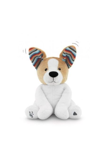 Catelusul Danny Peek a Boo Maro