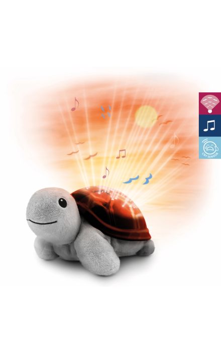 Testoasa Tim - Proiector Muzical Maro