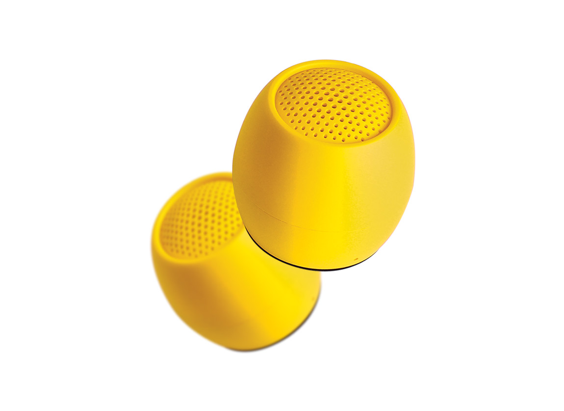 Dual pairing portable Bluetooth speaker